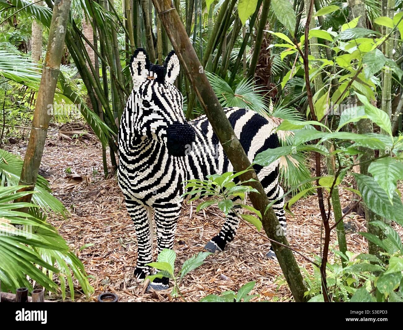 Zebra aus Legos in einer Dschungelumgebung - Smartphone-aufgenommenes Stockfoto