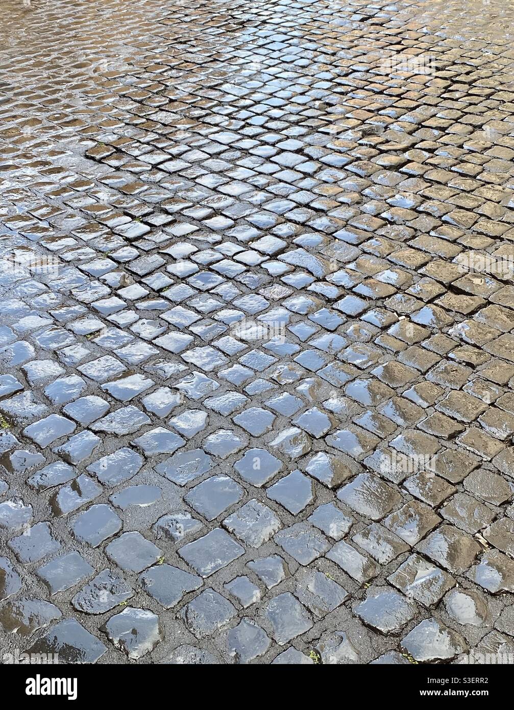 Nasse Straße aus Kopfsteinpflaster Stockfoto
