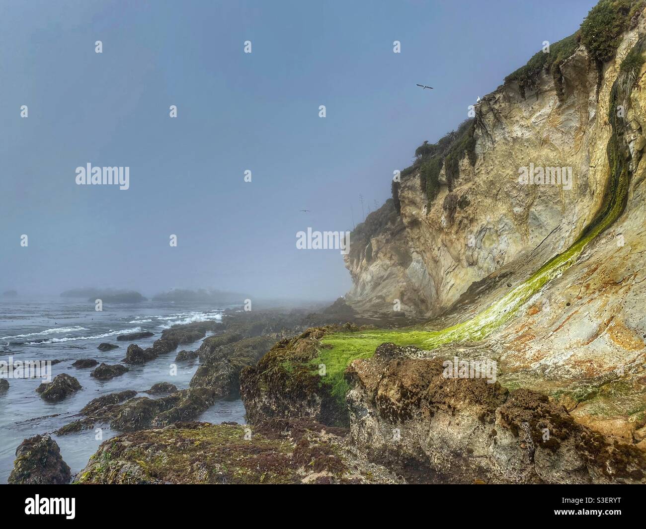 Küstenlinie in Shell Beach, Kalifornien Stockfoto