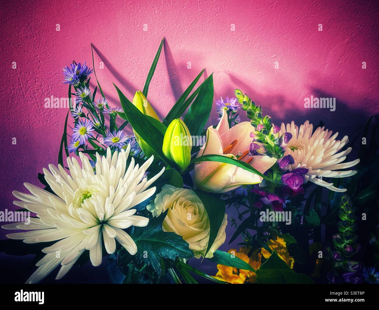 Ein Foto von einem schönen Blumenstrauß voller farbenfroher Blumen Gegen eine rosa bemalte Wand Stockfoto