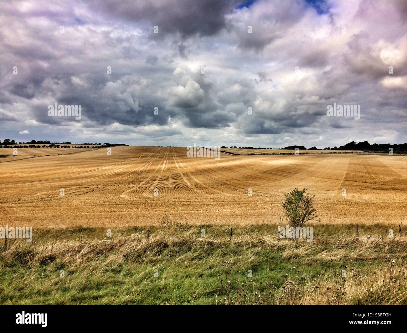 Spätsommer ländliche Landschaft, England - Smartphone-aufgenommenes Stockfoto