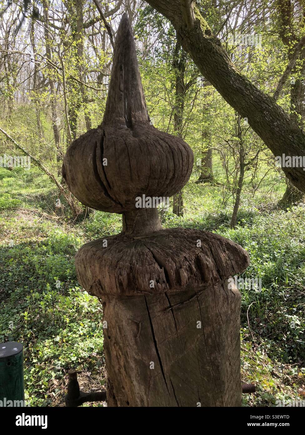 Geheimnisvolle Figur im Wald wie eine Hexe aus Holz in den Cotswolds geschnitzt. Stockfoto