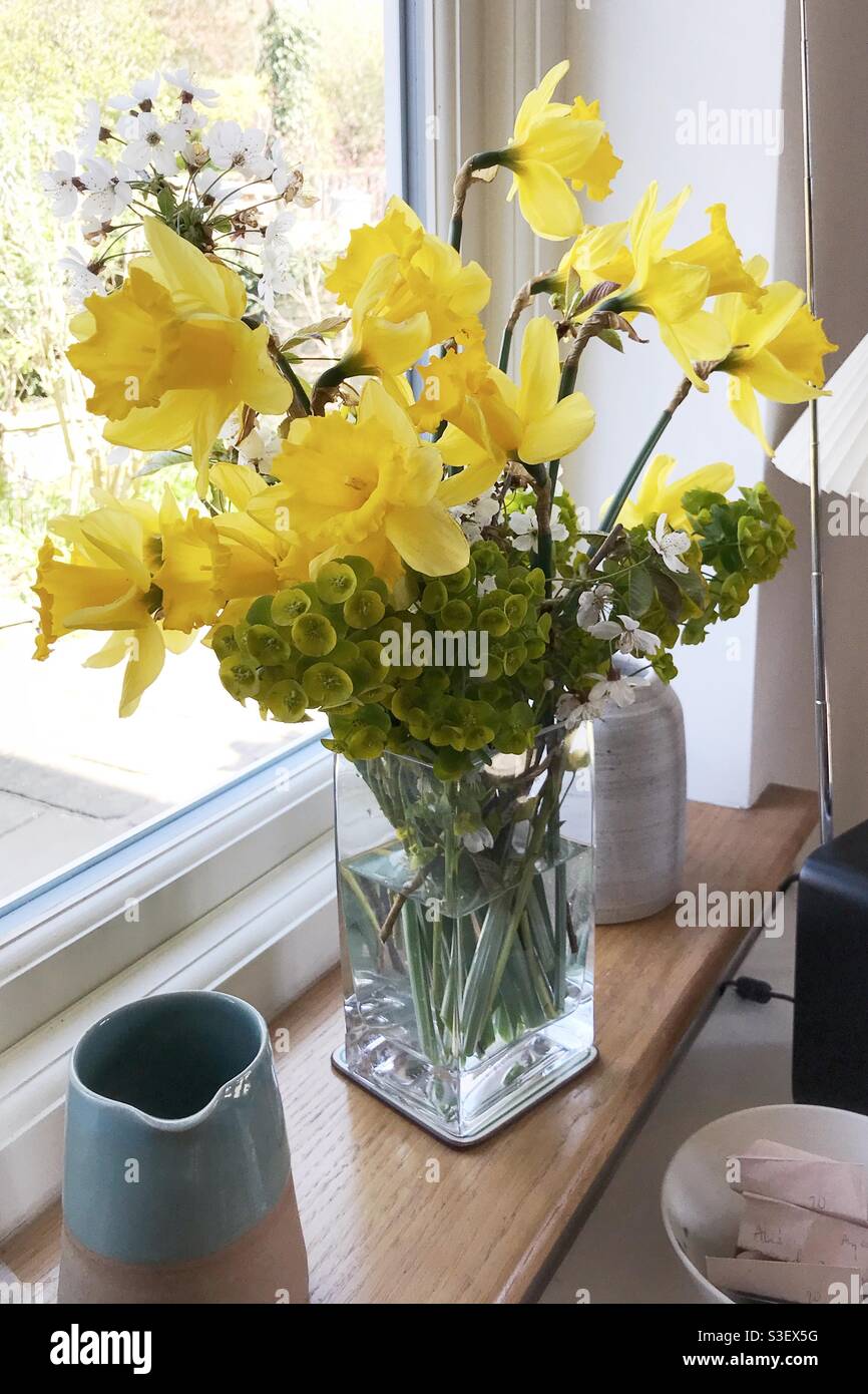 Vase mit frisch gepflückten Frühlingsblumen und Blüten aus dem Garten auf einer Küchenfensterbank Stockfoto