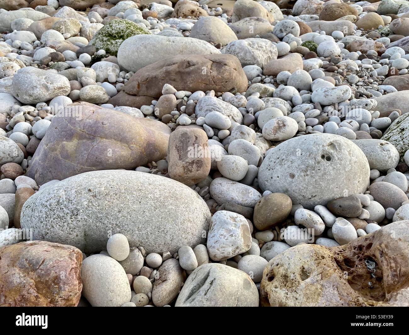 Hintergrund aus Kieselsteinen und Steinen am Strand Stockfoto