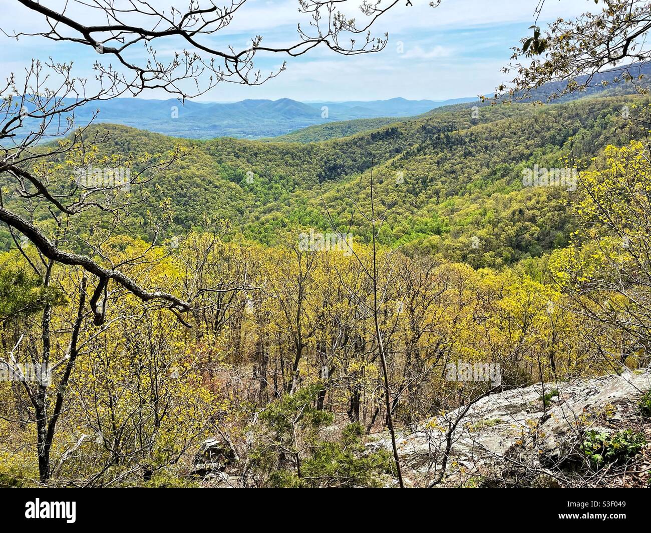 Ein Blick auf den Appalachian Trail in Virginia im Frühling. Stockfoto