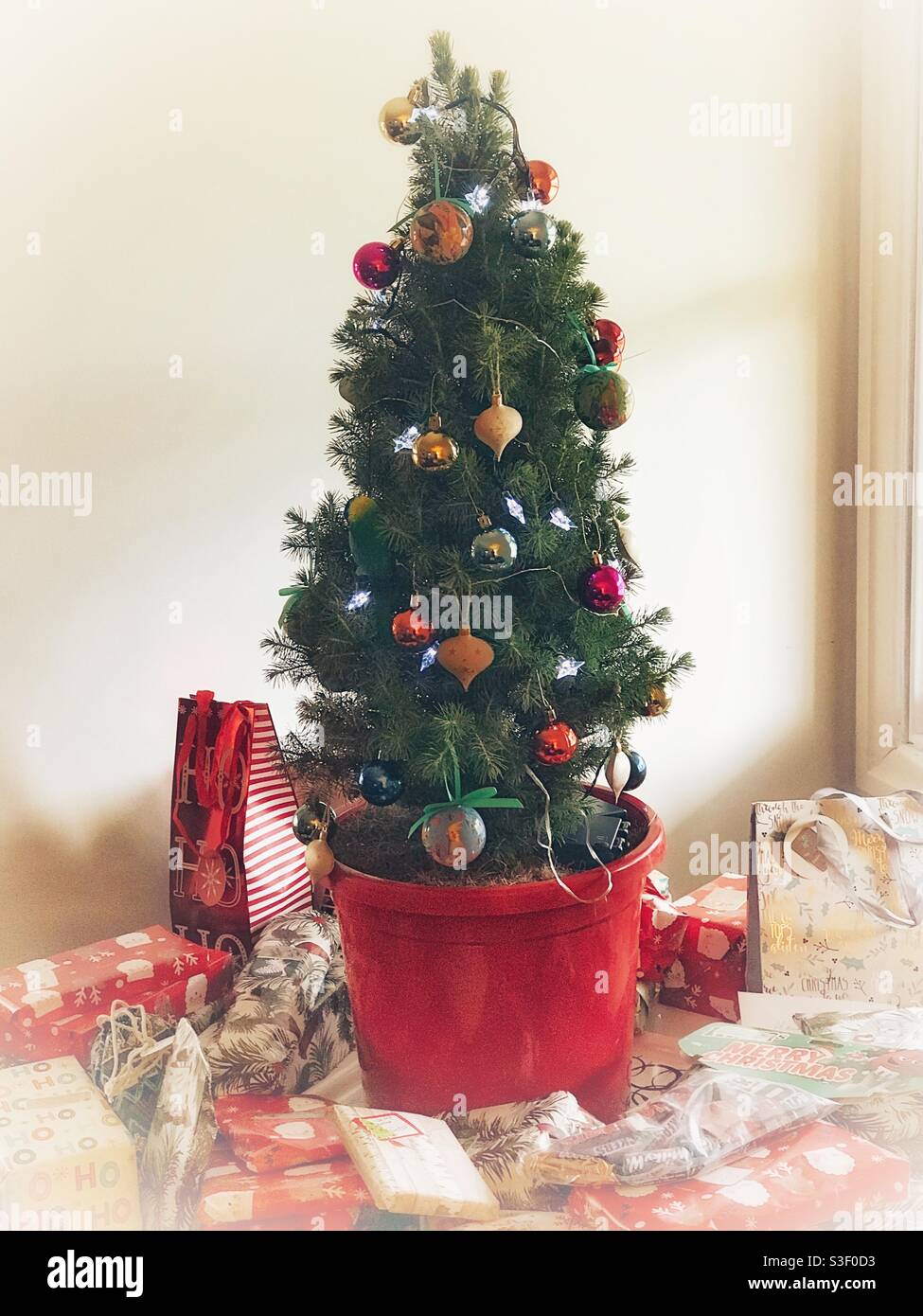 Kleiner geschmückter Weihnachtsbaum ein roter Topf, umgeben von Geschenken Bei hellem Morgensonnenlicht - Smartphone-aufgenommenes Stockfoto