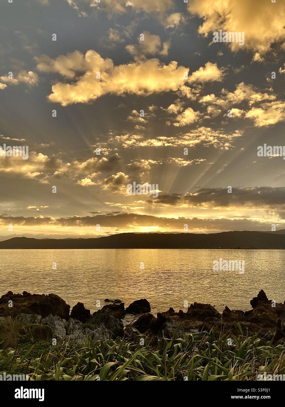 Lichtstrahl bei Sonnenaufgang über dem Hafen von Wellington, Neuseeland Stockfoto
