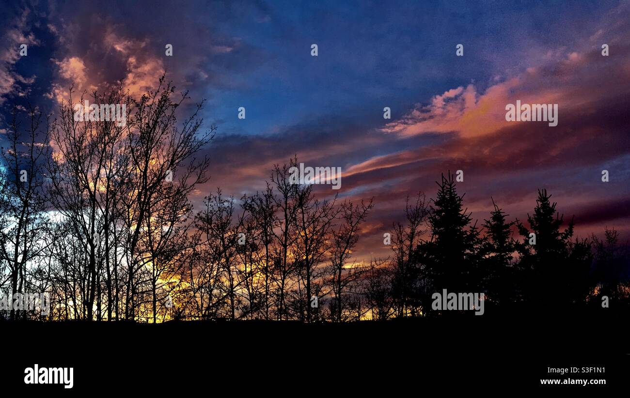 Sonnenuntergang in Alberta, Calgary, Alberta, Kanada, Sonnenuntergang, Abend, Dämmerung, Tagesende Stockfoto