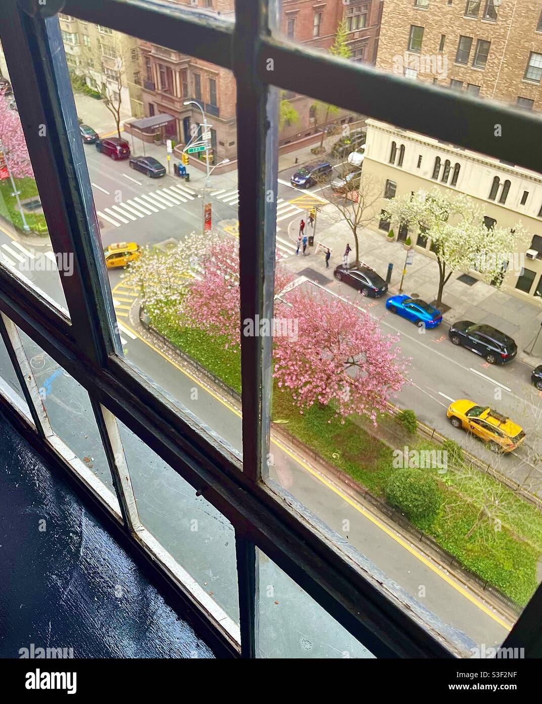 Blick auf die Park Avenue vom Hochhaus-Apartment in Manhattan Stockfoto