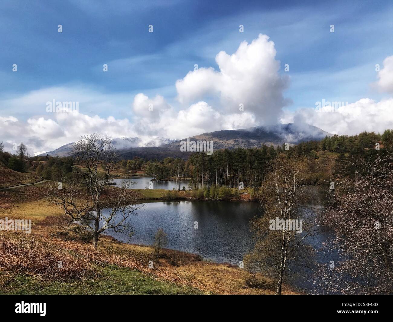 Tarn wie im Lake District - Smartphone-aufgenommenes Stockfoto