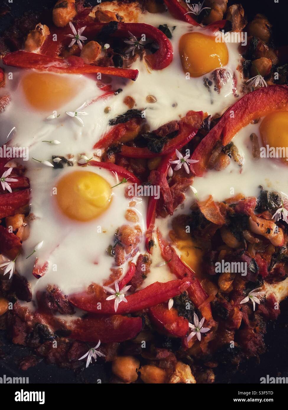 Nahaufnahme Foto von Zigeunereiern Gericht / Teller von Essen mit Tomatensauce mit Bohnen und roten Paprika in Scheiben geschnitten Garniert mit gebackenen Eiern und wilden Knoblauchblüten Stockfoto
