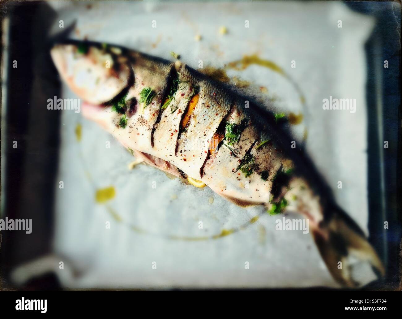 Home Cooking Ofenfertige Fische, selektives Fokusbild, das Vintage-Tinnyp nachahmt Fotoeffekt Stockfoto