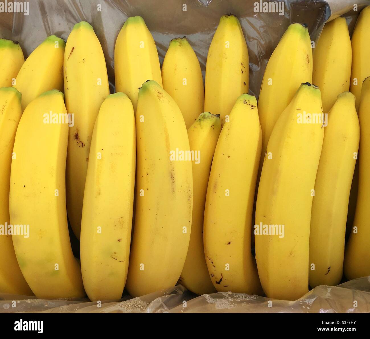 Trauben frischer reifer Bananen zum Verkauf bereit - Smartphone-aufgenommenes Stockfoto