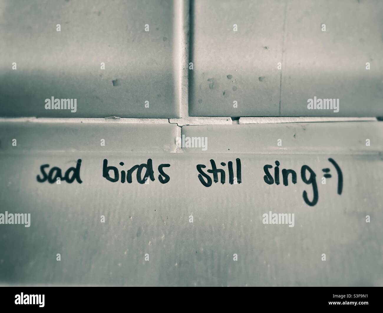 Traurige Vögel singen immer noch Graffiti Stockfoto