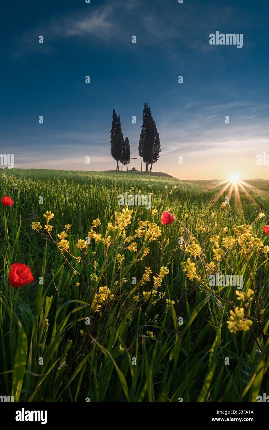 Val d’orcia Italien Stockfoto