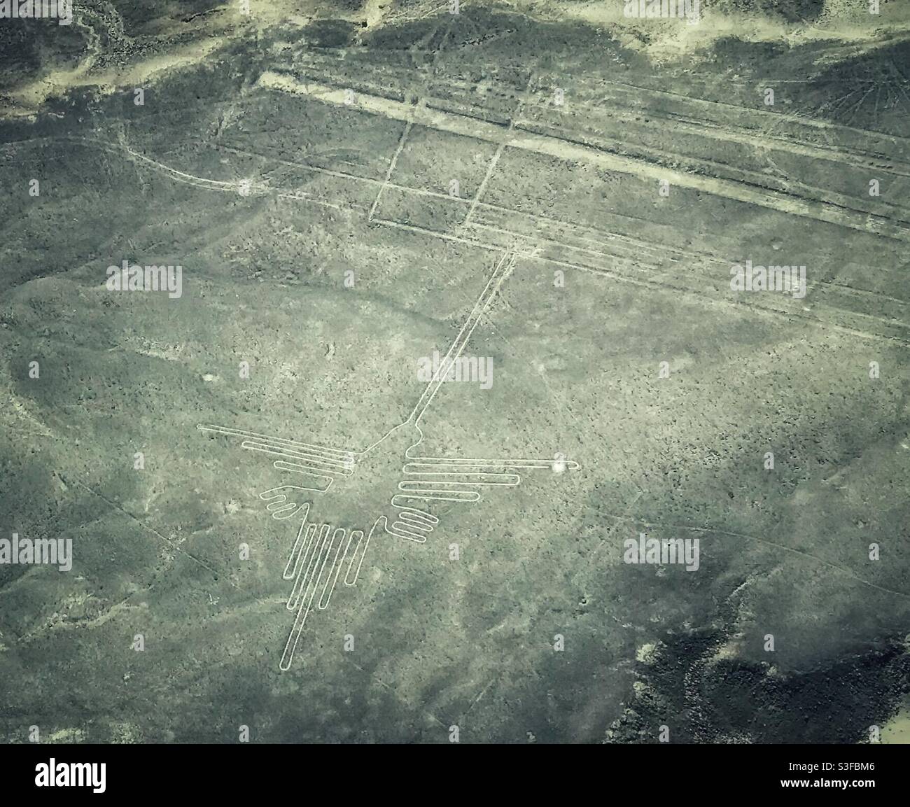 Die Kolibri- oder Einsiedlerformation in den Nazca-Linien, in der Nähe von Nazca, Peru, von einem Touristenflug in einem kleinen Flugzeug aus gesehen Stockfoto