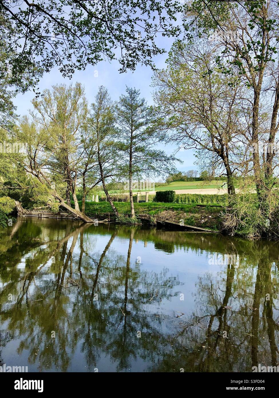 Von Bäumen gesäumtes Flussufer - Fluss Claise, Indre-et-Loire (37), Frankreich. - Smartphone-aufgenommenes Stockfoto