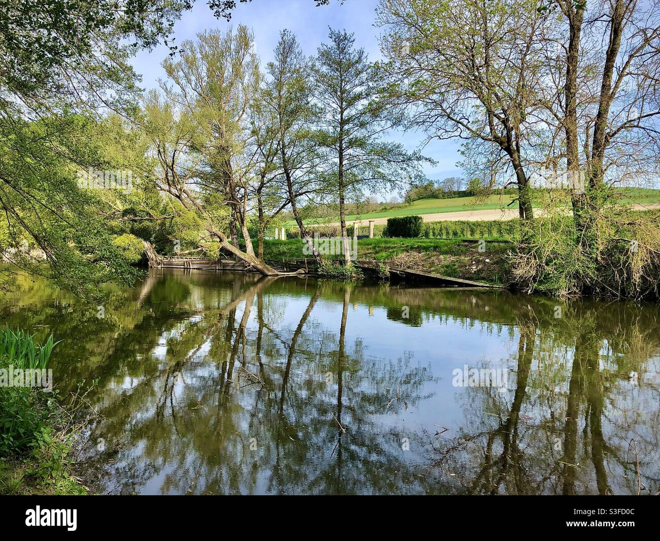 Von Bäumen gesäumtes Flussufer im Frühling - Fluss Claise, Indre-et-Loire (37), Frankreich. Stockfoto