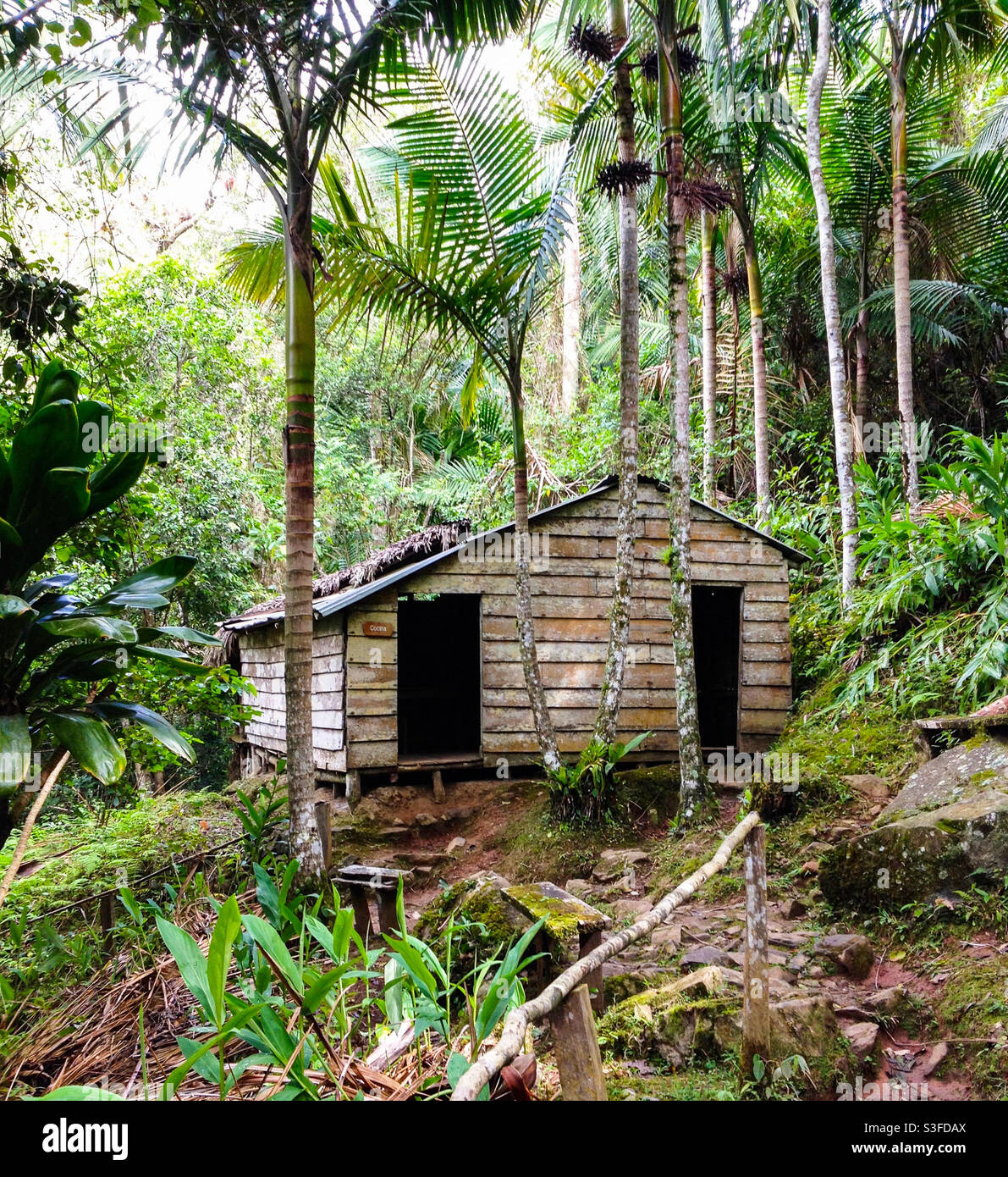 Holzhütte im Dschungel, Lager, in dem Fidel Castro und Che Guevara sich während der kubanischen Revolution in den Bergen der Sierra Maestra, Kuba, versteckten Stockfoto