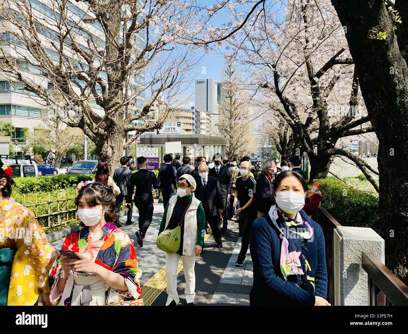 Eine riesige Menschenmenge zwischen Nippon Budokan und Yasukuni-Schrein am 26. März 2020, wegen des Kirschblütenfestes. Am Tag findet in Nippon Budokan eine Abschlussfeier der Universität statt. Stockfoto