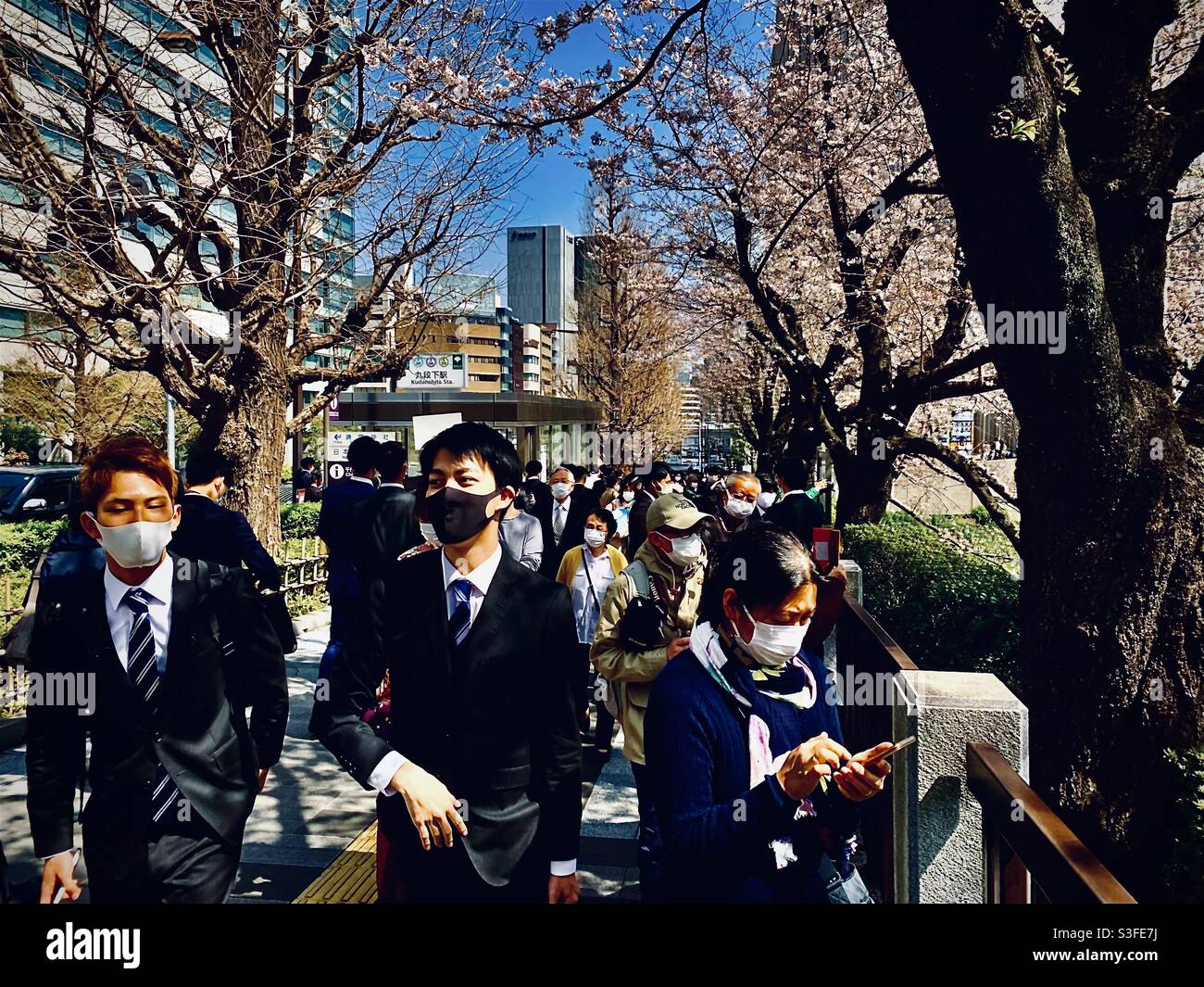 Eine riesige Menschenmenge zwischen Nippon Budokan und Yasukuni-Schrein am 26. März 2020, wegen des Kirschblütenfestes. Am Tag findet in Nippon Budokan eine Abschlussfeier der Universität statt. Stockfoto