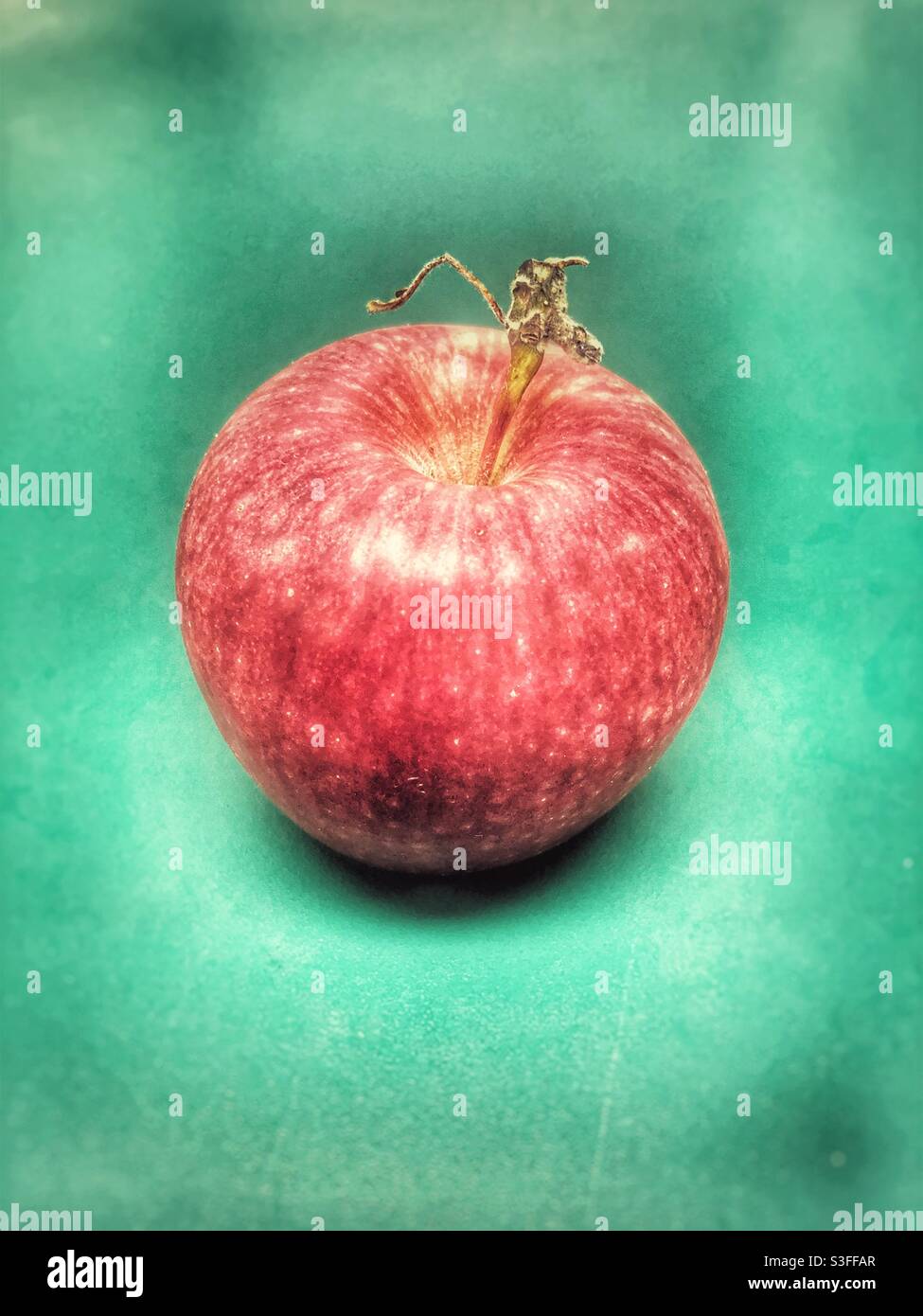 Ein roter Apfel Stockfoto
