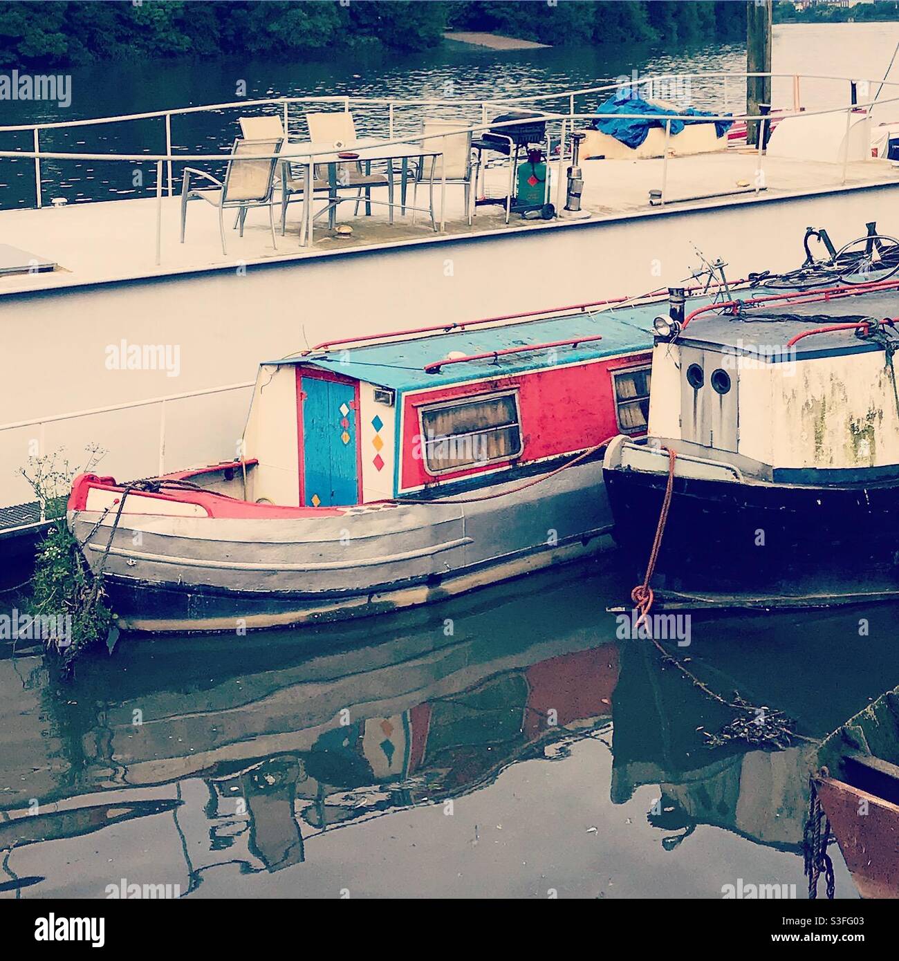 Kanalboote liegen an der Themse in Chiswick London Stockfoto