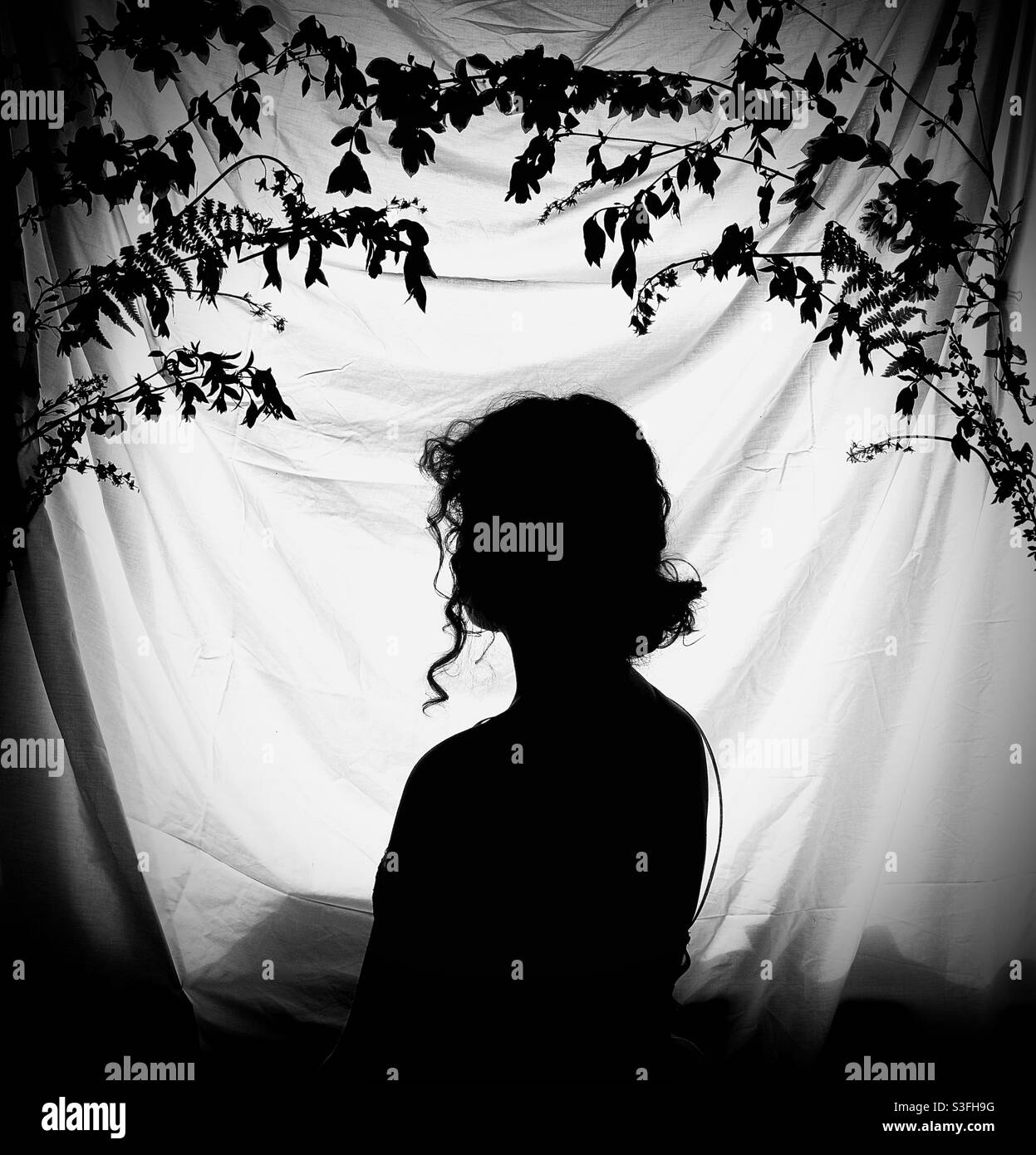 Silhouette Stockfoto
