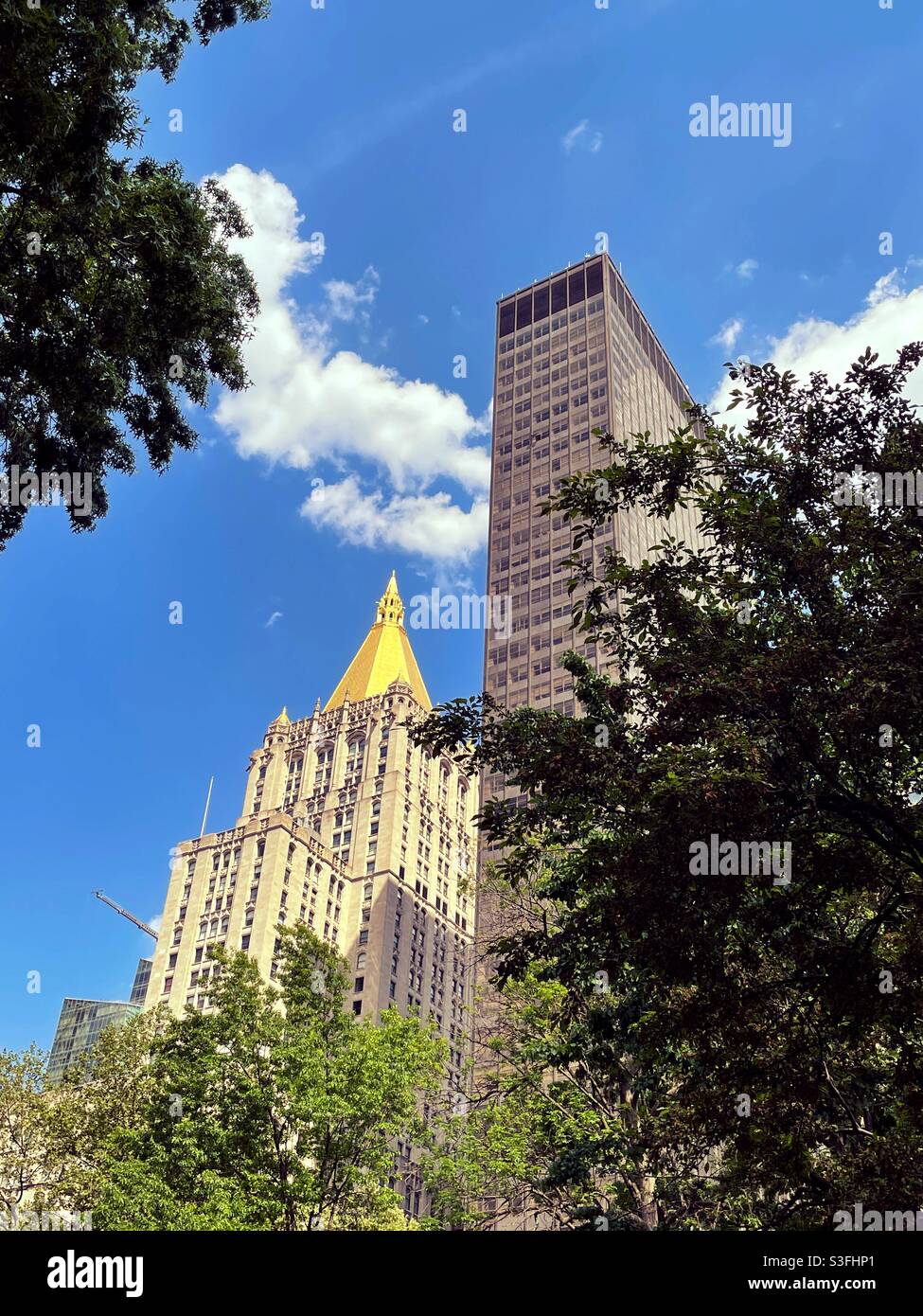 Bürogebäude vom Madison Square aus gesehen, Park im Frühling, NYC, USA - Smartphone-aufgenommenes Stockfoto