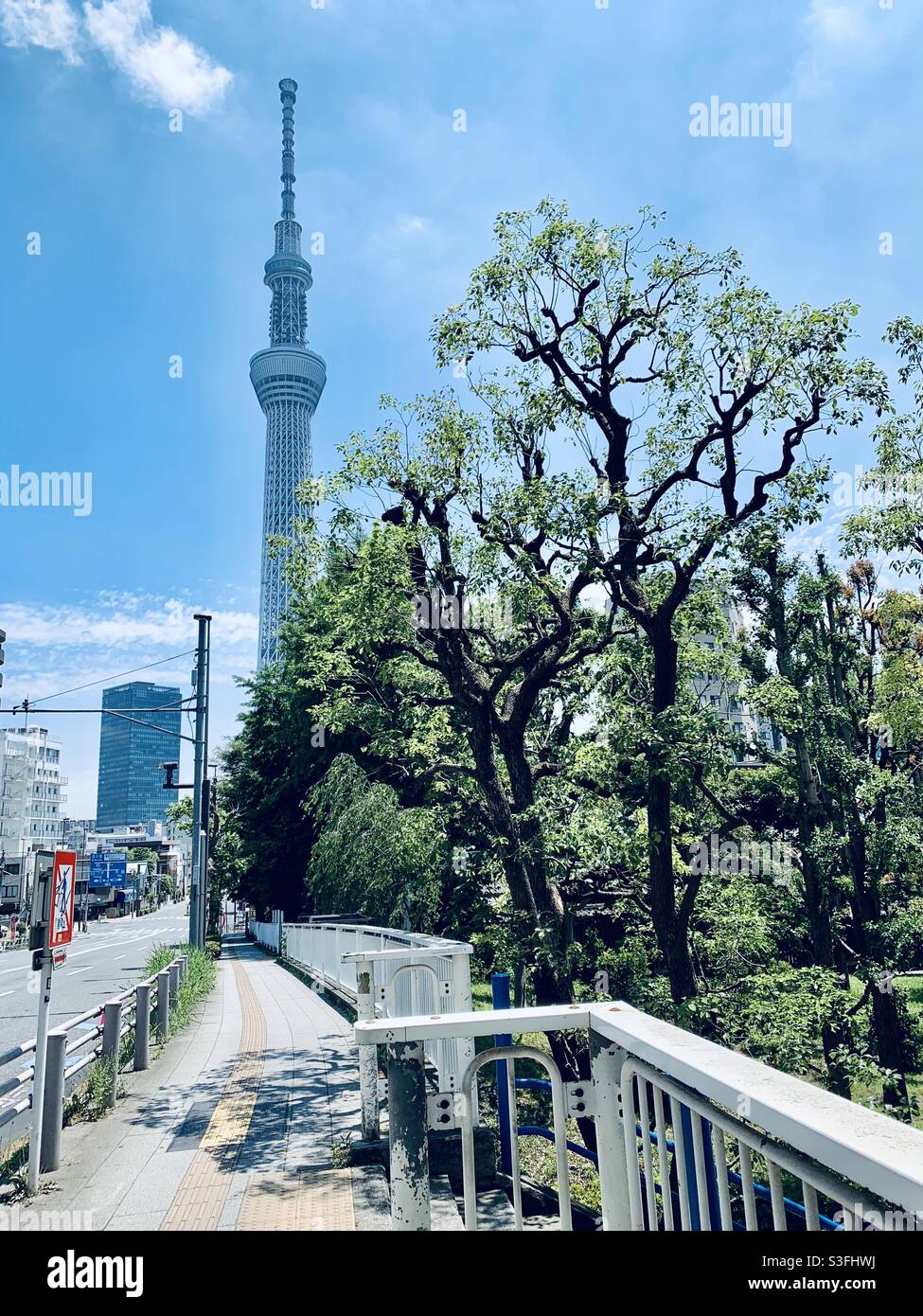 Tokyo Skytree befindet sich in Sumida City, Tokio. Er ist mit 634 Metern der höchste Turm Japans. Tokyo Skytree vom Sumida Park. Stockfoto