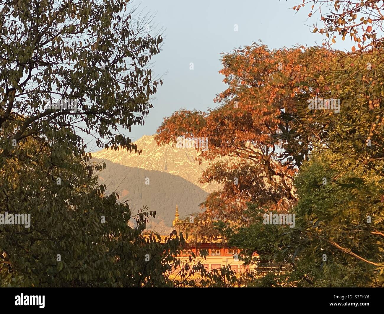 Herbst in Dharamsala Stockfoto