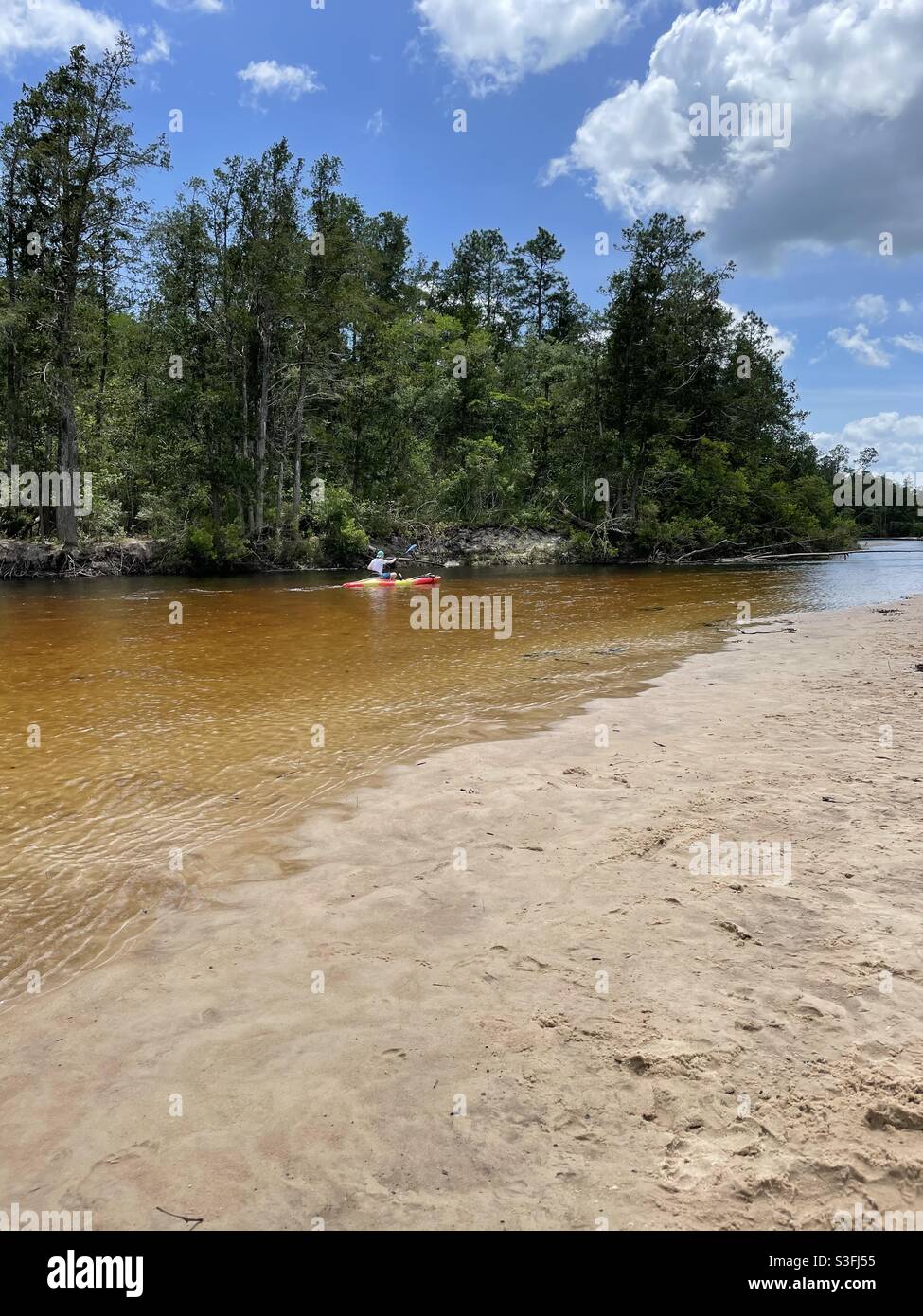 Blackwater River State Park Florida Kanufahren Stockfoto