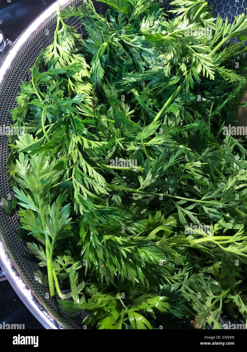 Frisch gewaschene Bio-Karottengemüse in einem Topf. - Smartphone-aufgenommenes Stockfoto