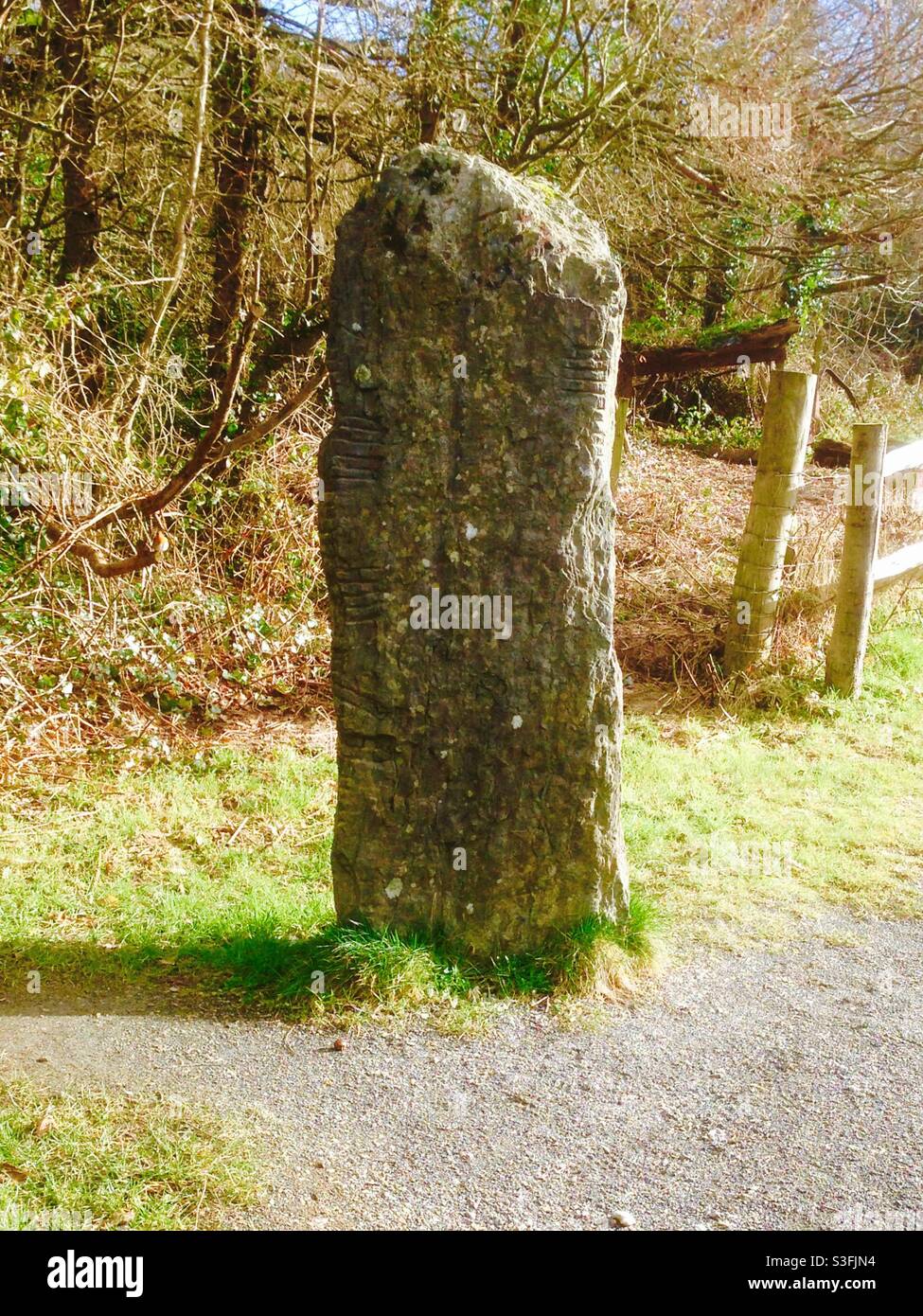Ogham Stone im Irish National Heritage Park. Ein frühmittelalterliches Alphabet aus dem Jahr 300 n. Chr., das zur Einschreibung der archaischen irischen Sprache verwendet wurde Stockfoto