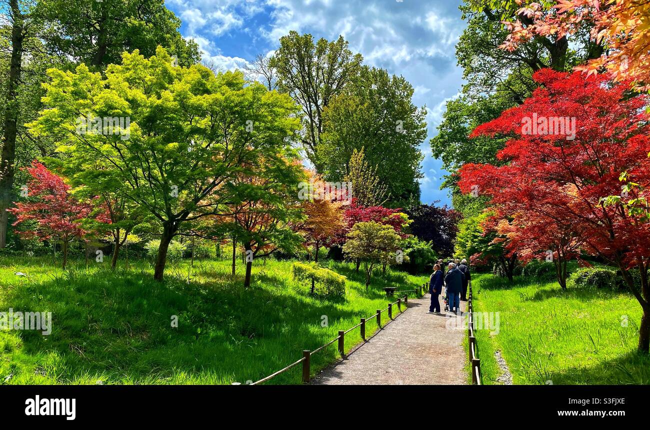 Kingston Lacy Stockfoto