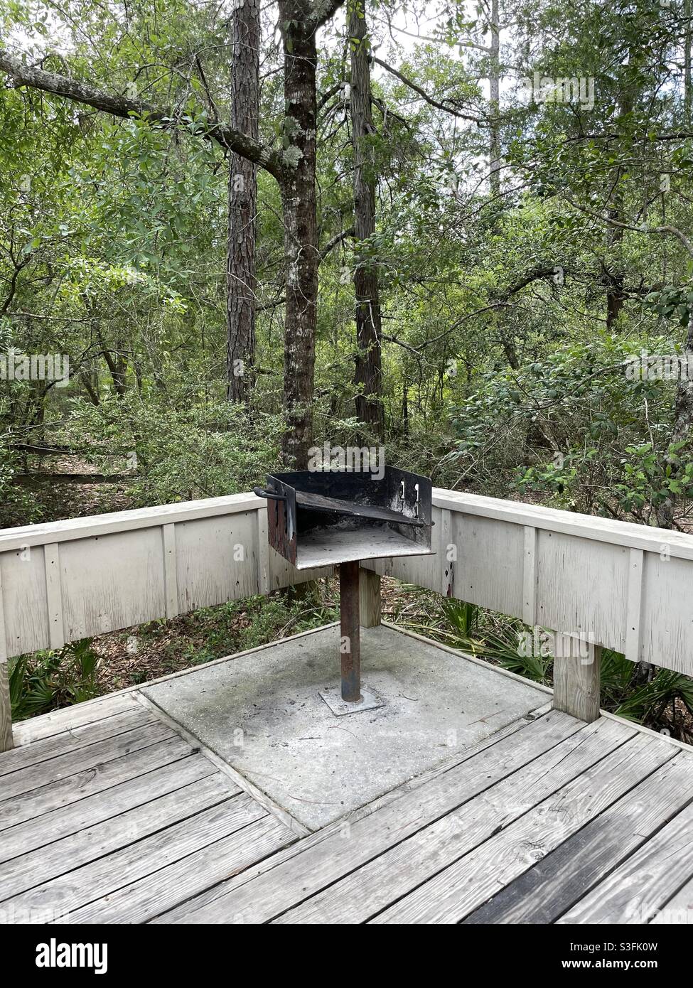 Outdoor-Bereich mit Waldhintergrund am Blackwater River State Park Florida Stockfoto