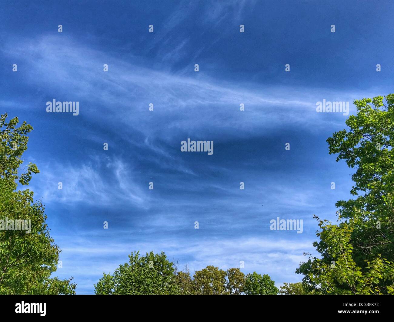 Eine Wolke bildet einen großen Vogel am Himmel. Stockfoto Eine Wolke bildet einen großen Vogel am Himmel. Stockfoto