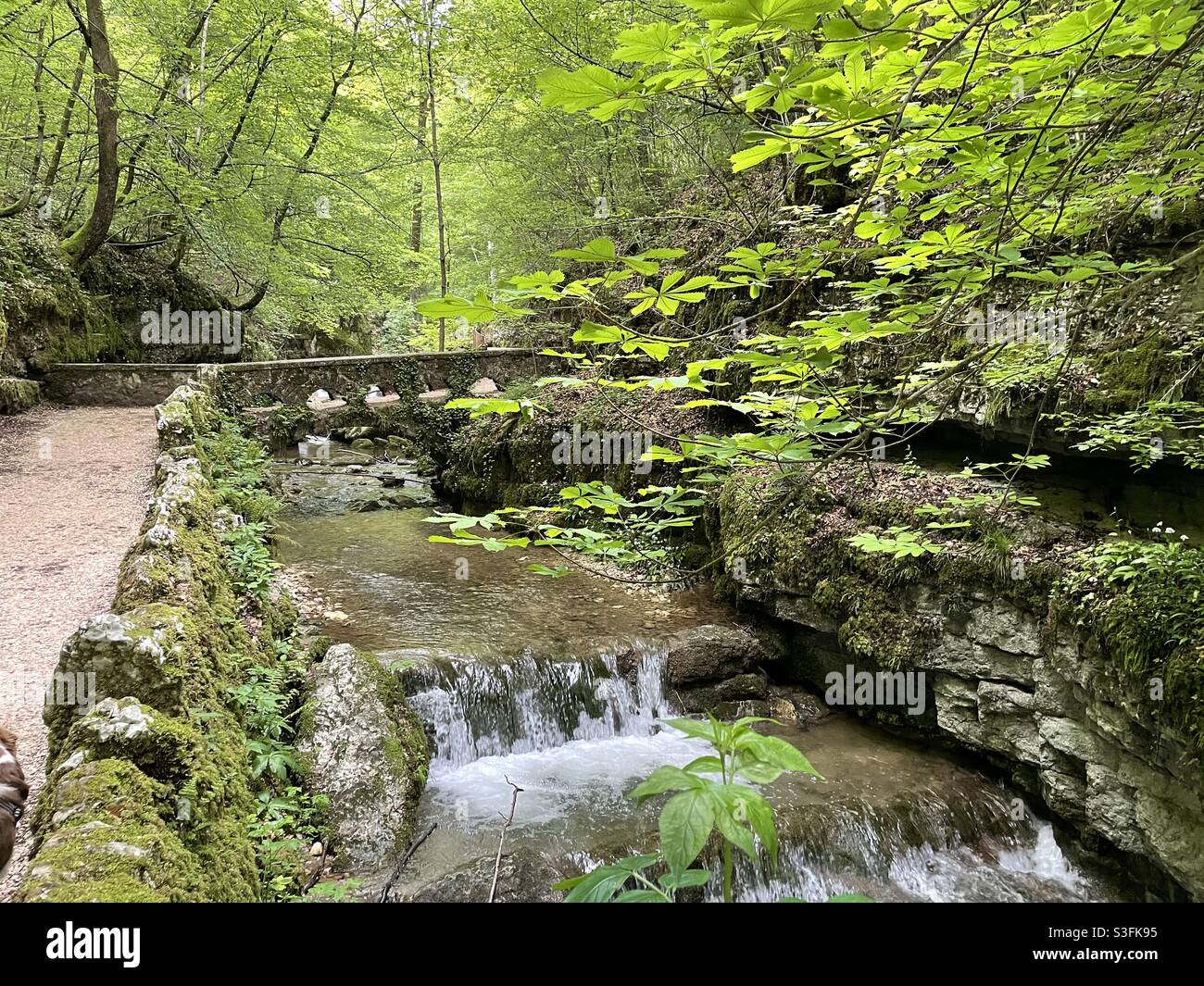 Weg durch Verenaschlucht, Solothurn, Schweiz. Stockfoto