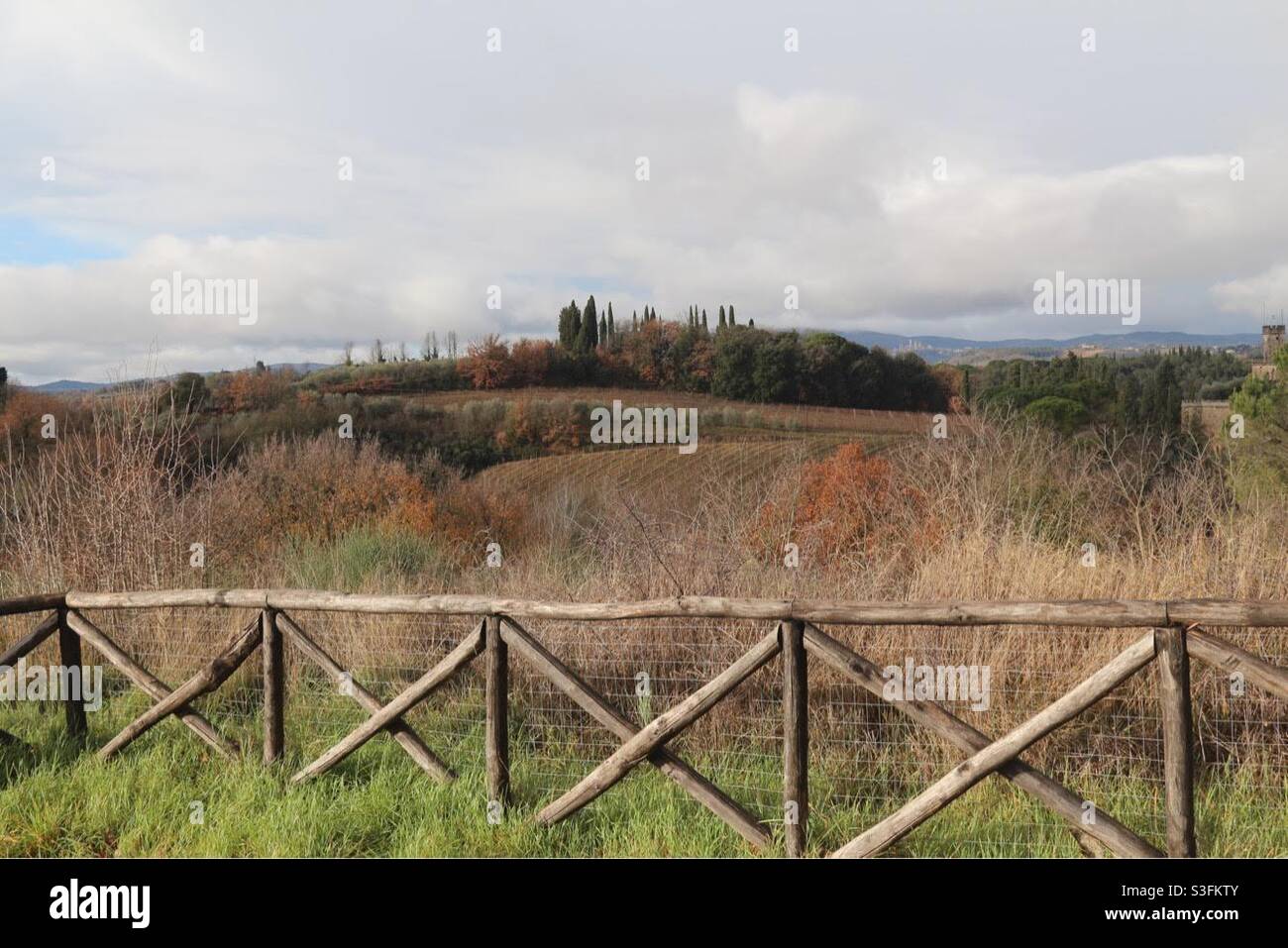 Paesaggio Toscano Stockfoto