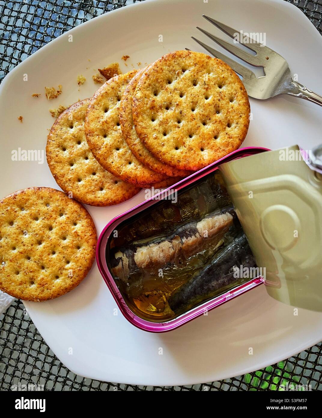 Flache Lage einer Dose Sardinen und Cracker auf einer weißen Platte - Smartphone-aufgenommenes Stockfoto