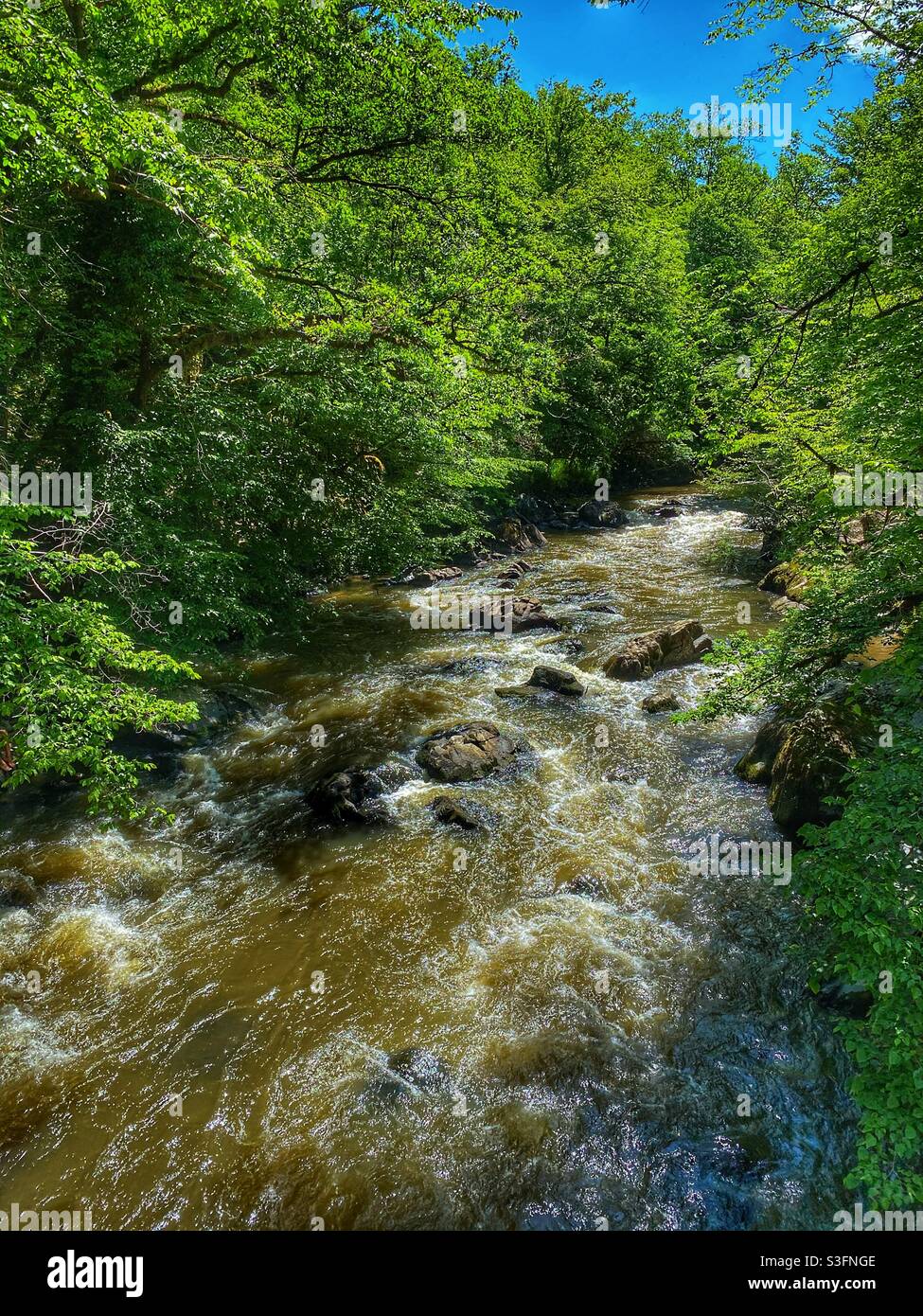 Auvezere River France - Smartphone-aufgenommenes Stockfoto