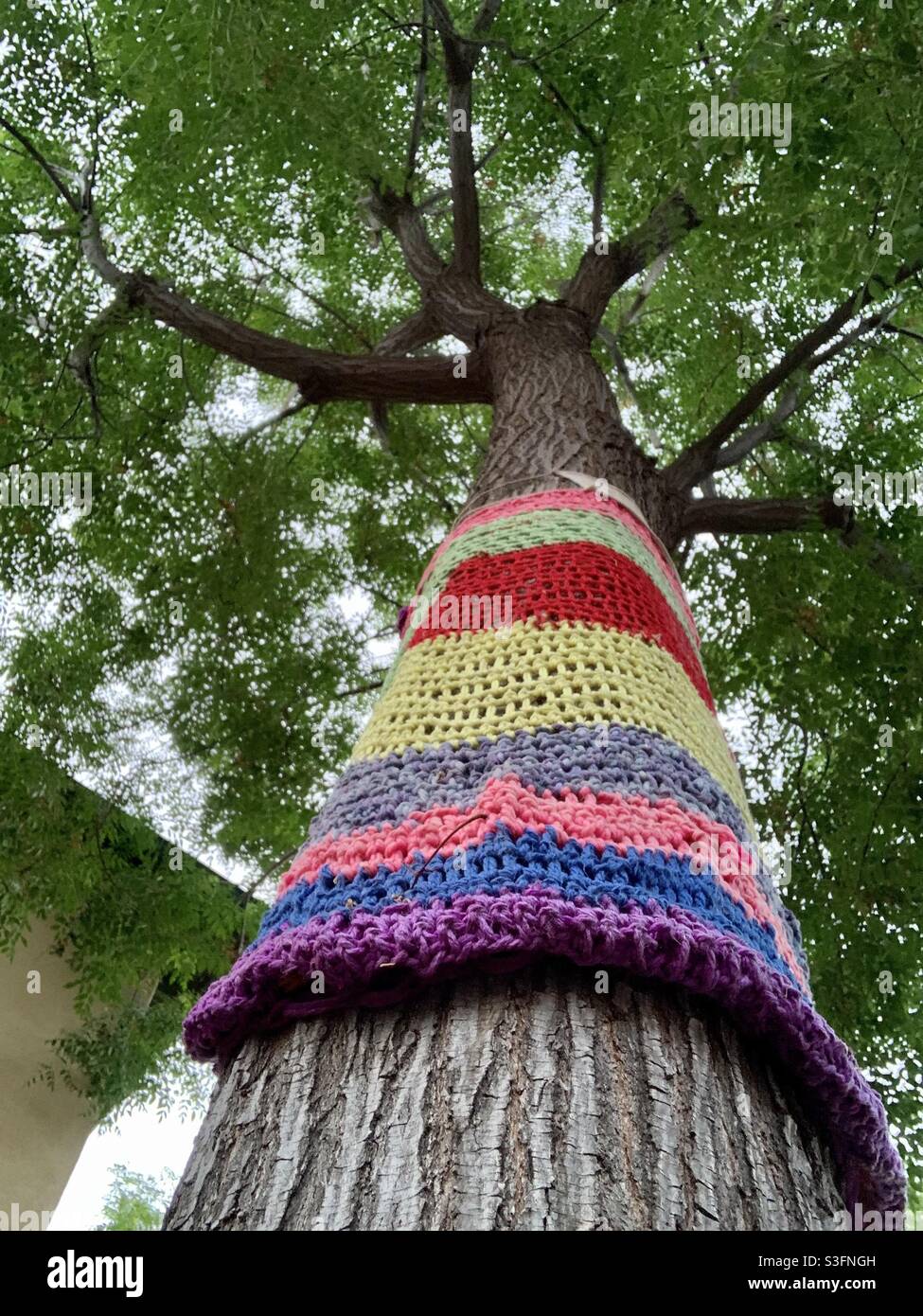 Baum mit Häkelcheck Stockfoto