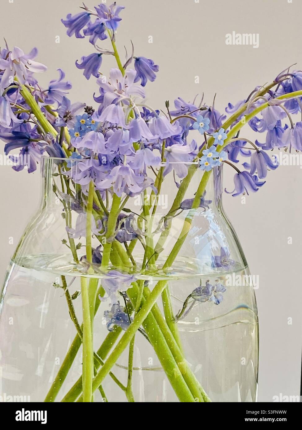 Bluebells und forget-me-nots in einer Vase 💕 Stockfoto