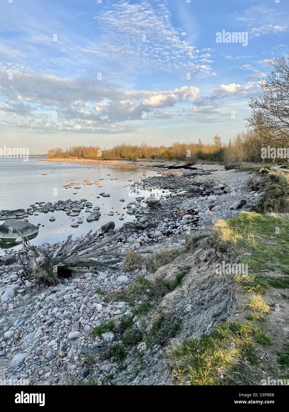 Sonniger Frühlingsabend am Meer, Tallinn, Estland Stockfoto