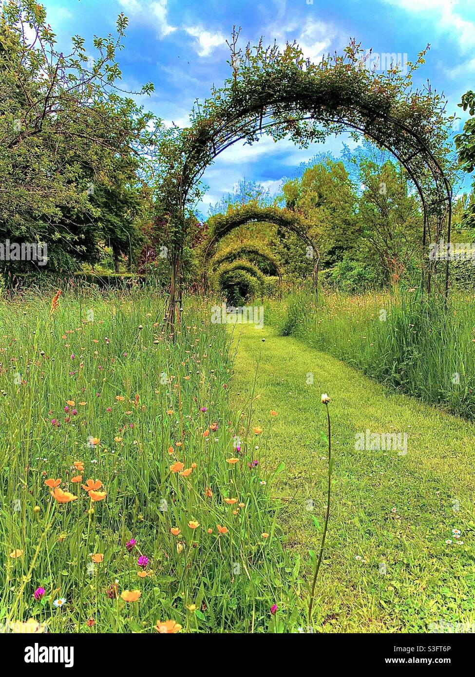 Cotswolds Country Walk - Smartphone-aufgenommenes Stockfoto