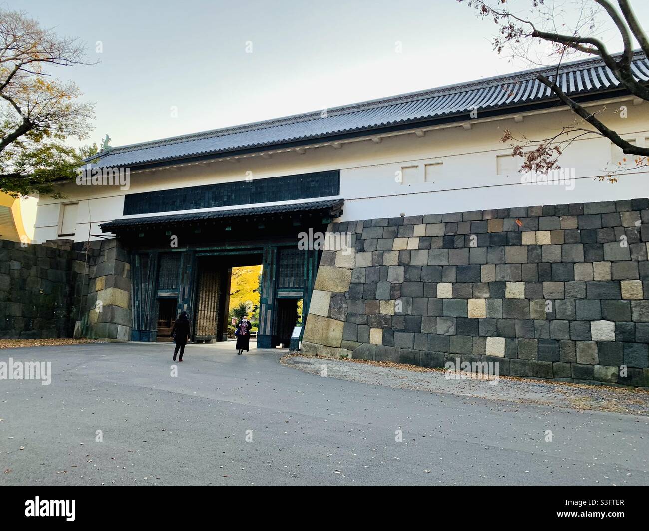 Nippon Budokan befindet sich in 2-3 Kitanomarukoen, Chiyoda City, Tokio, Japan. Es ist eine der Olympischen Spiele 2020 in Tokio Venus. Stockfoto