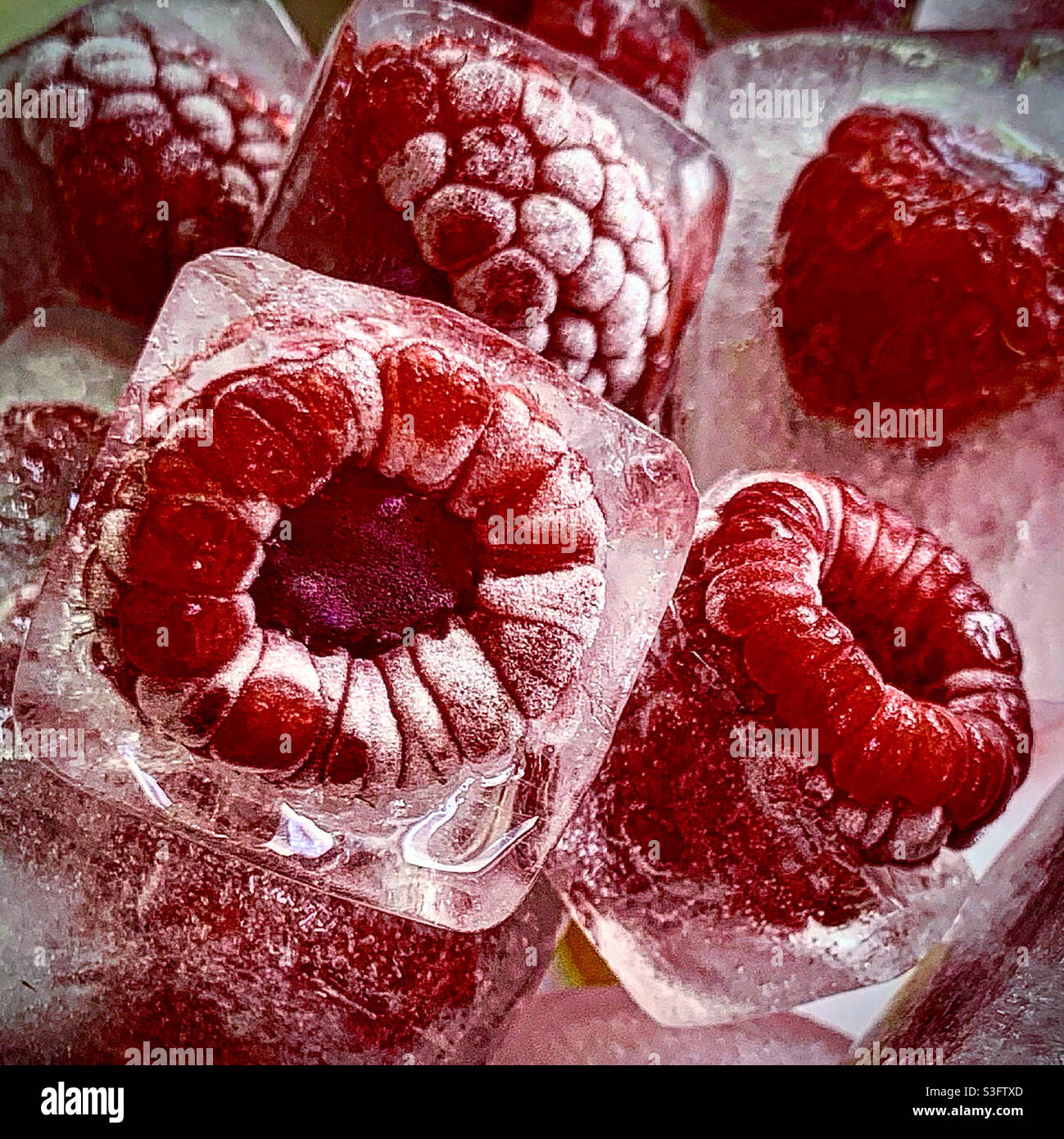 Eisgekühlte Himbeere Stockfoto