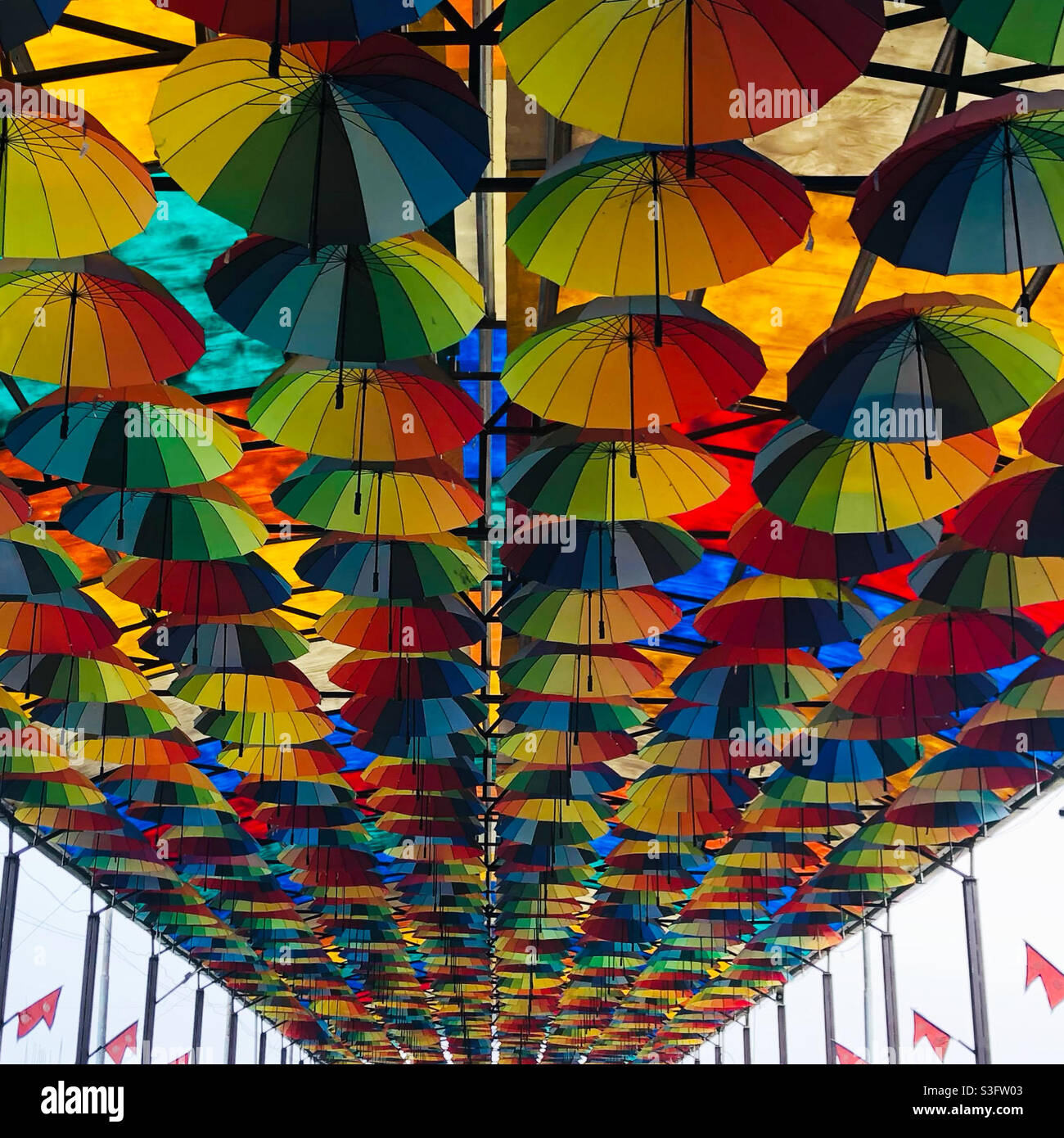 Umbrella Street Stockfoto