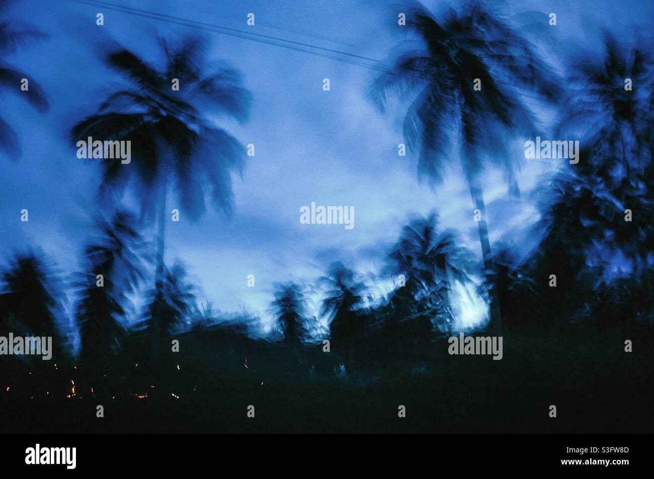 Verschwommene Palmen und Sonnenaufgang auf der Insel Stockfoto