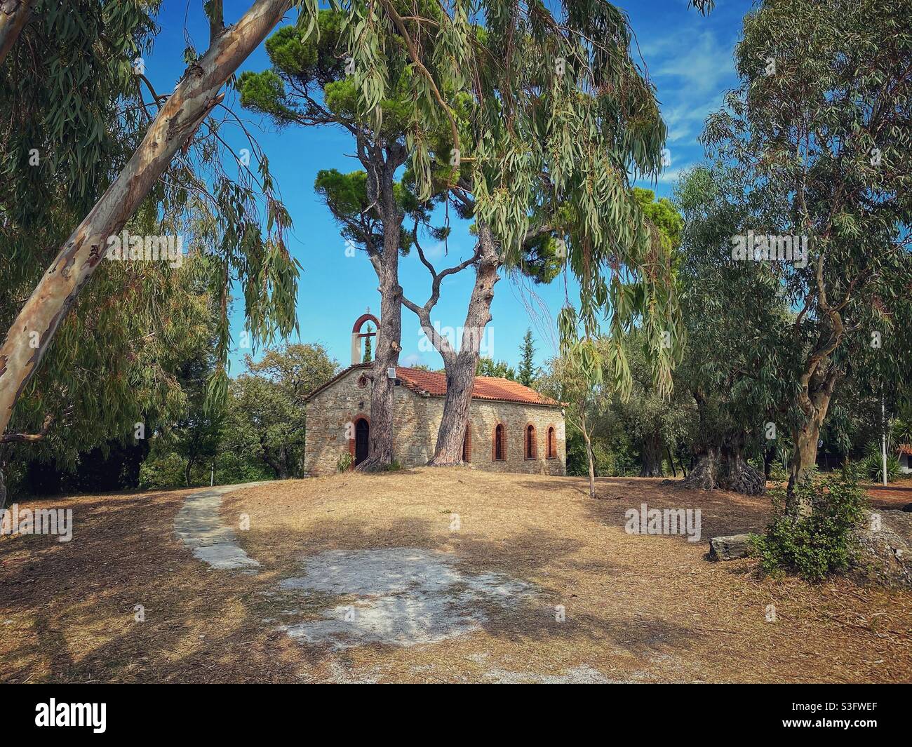 Griechische Kirche umgeben von hohen grünen Bäumen in der Nähe des Klosters Evangelistria auf der Insel Skiathos in Griechenland. - Smartphone-aufgenommenes Stockfoto